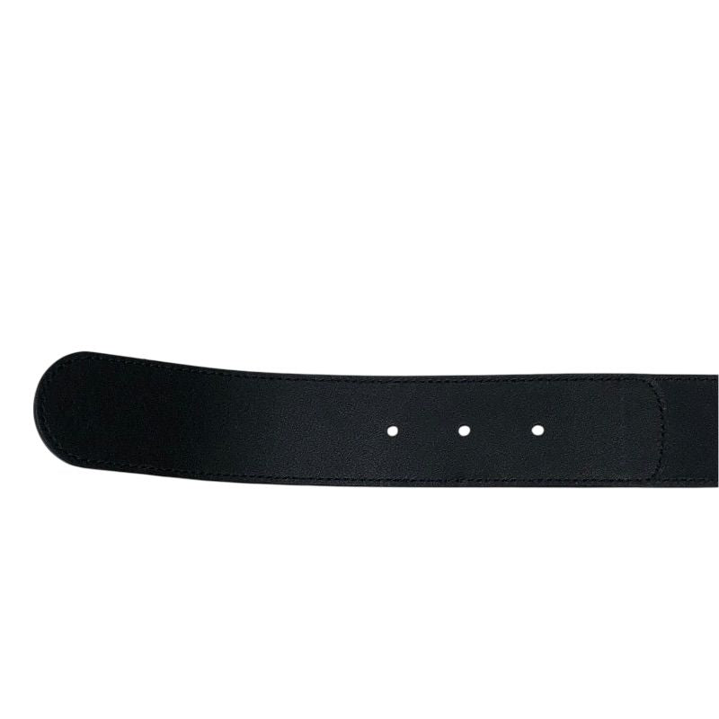 gucci beige belt accessories included