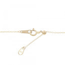 necklace accessories included