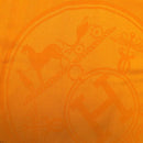 hermes scarf condition details