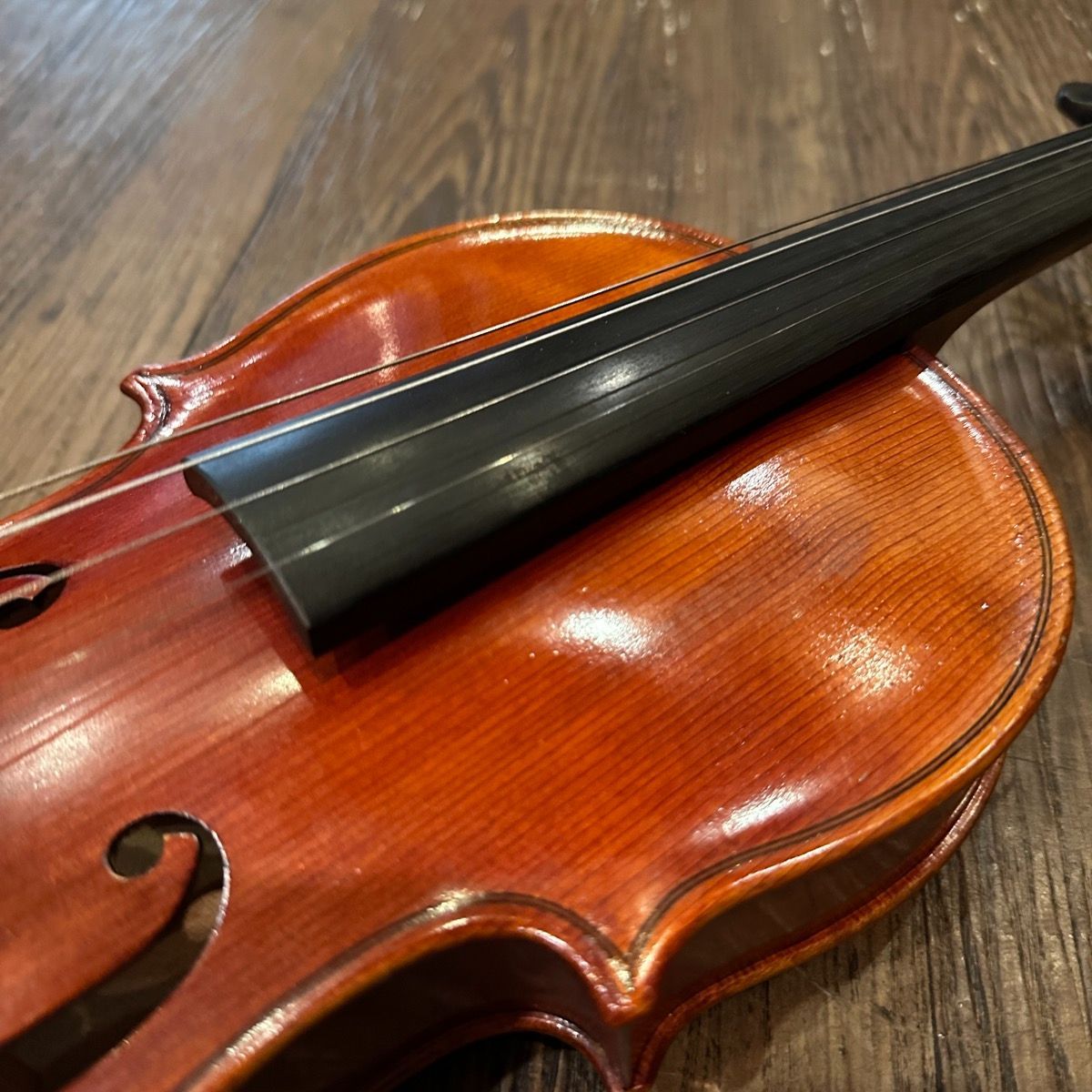 suzuki no.360 string instrument rear view