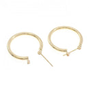 earrings rear view