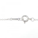 tiffany necklace accessories included