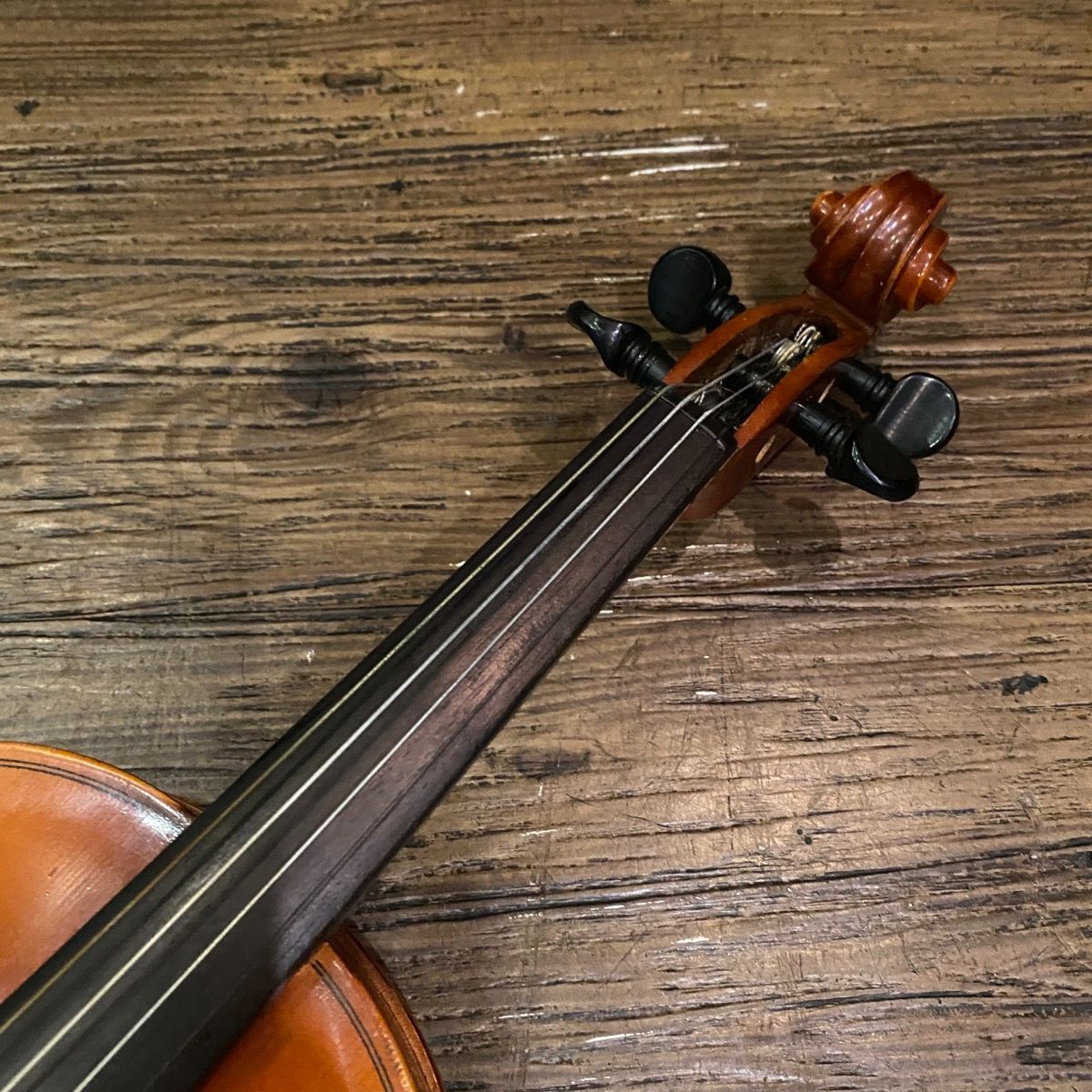 suzuki no.220 string instrument rear view