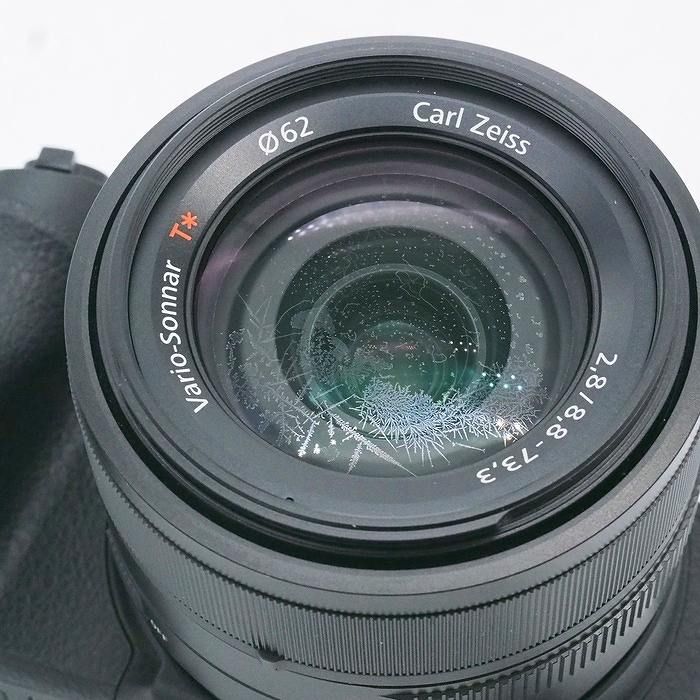sony dsc-rx10 camera functional details