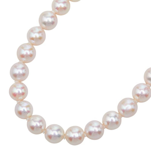 その他セレクト necklace side view