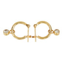 その他セレクト earrings front view
