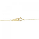 necklace accessories included