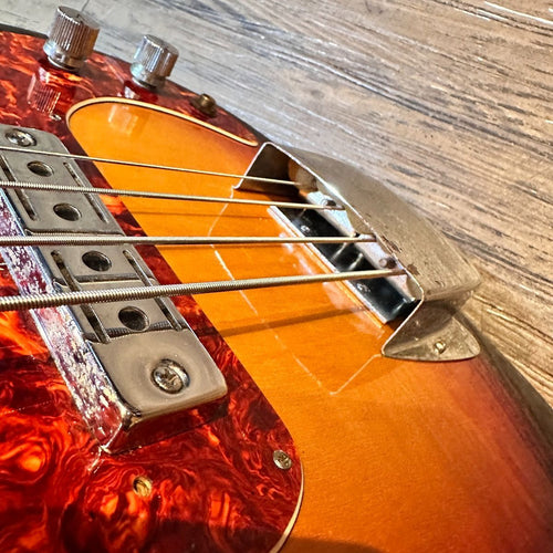 bass guitar markings and labels