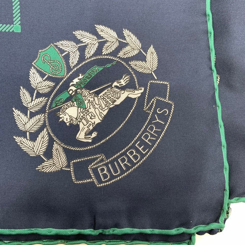burberry navy scarf rear view