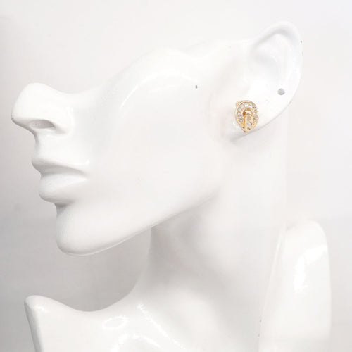 christian dior earrings accessories included