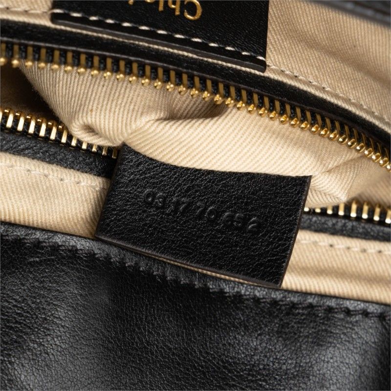 chloe backpack condition details