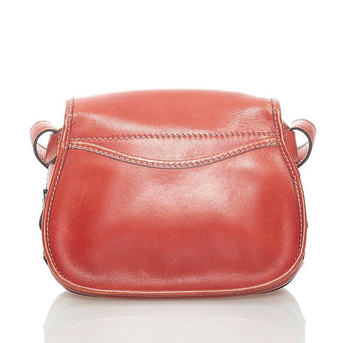 celine shoulder bag rear view