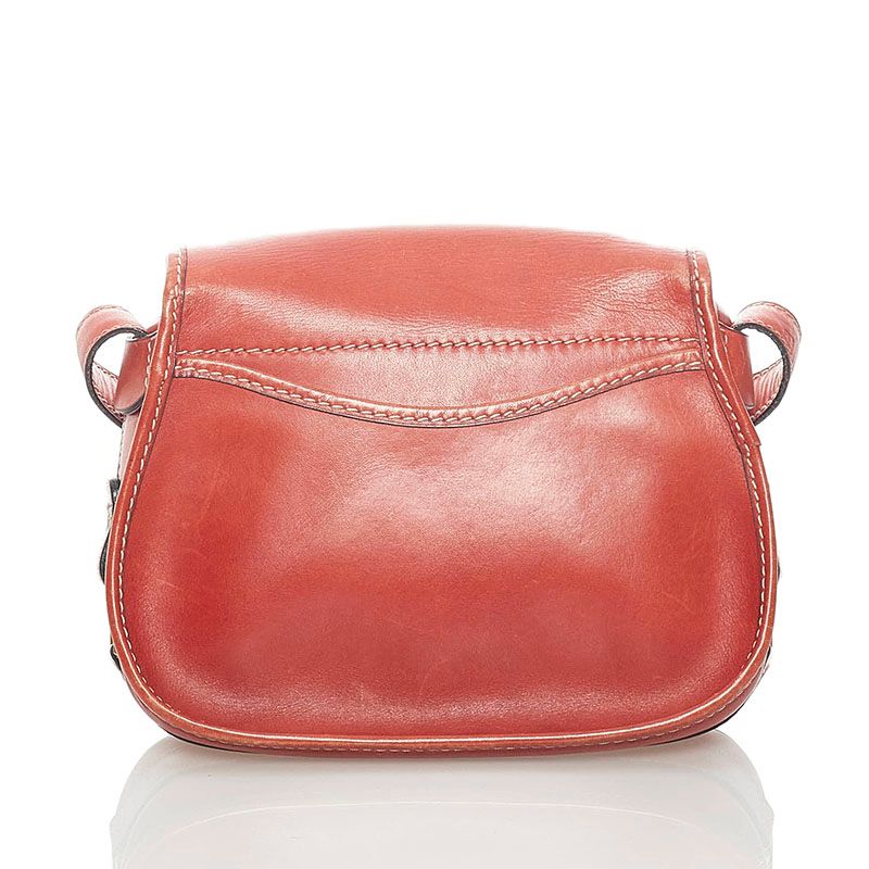 celine shoulder bag rear view