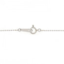 necklace accessories included