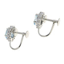 earrings accessories included