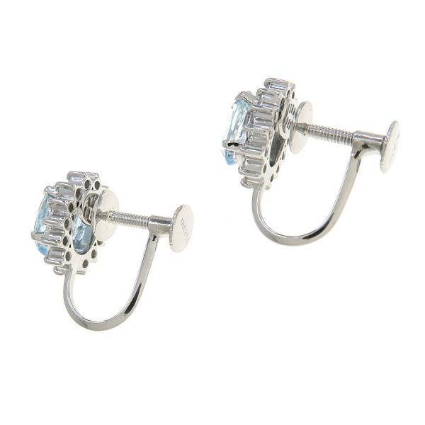 earrings accessories included