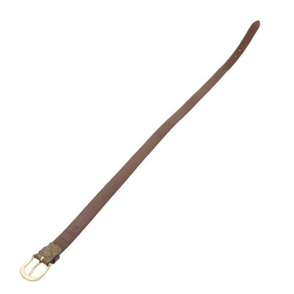 coach belt rear view
