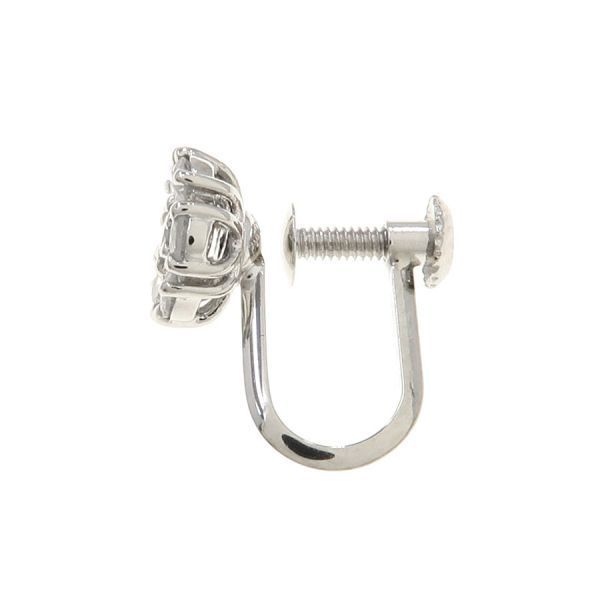 earrings accessories included