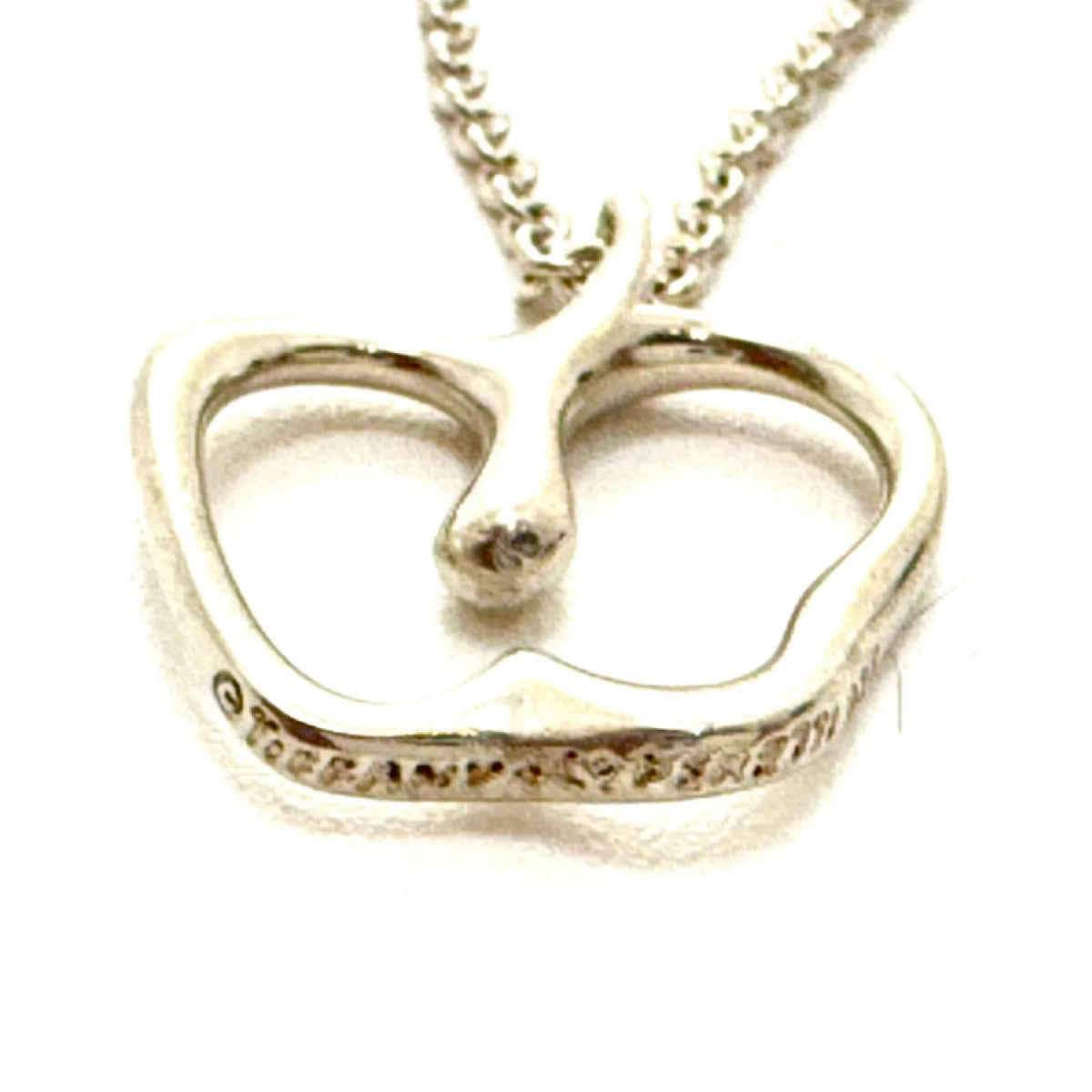 Tiffany NC/SV/3.5g Necklace