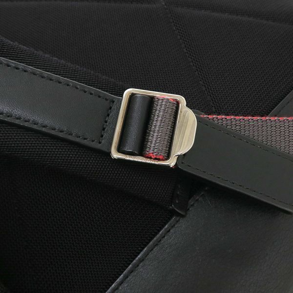 burberry backpack side view