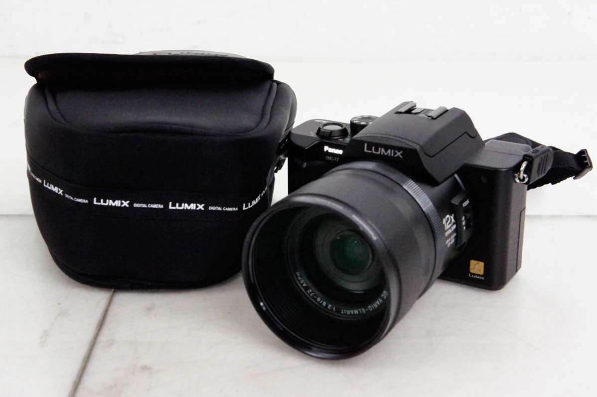 Panasonic DMC-FZ10 Compact Digital Camera