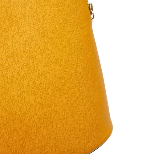 celine handbag condition details
