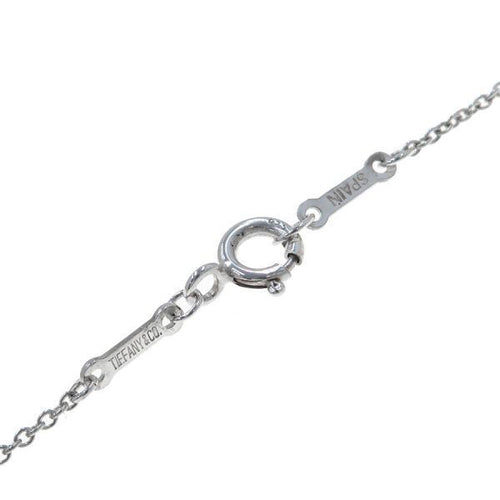 tiffany necklace accessories included