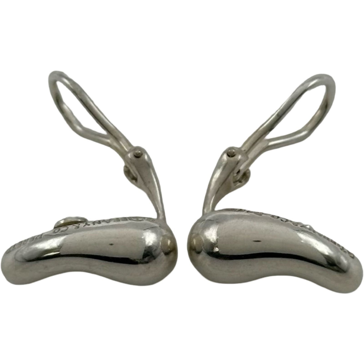 earrings accessories included