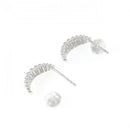 earrings rear view