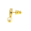 christian dior earrings accessories included