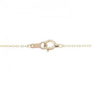 necklace accessories included