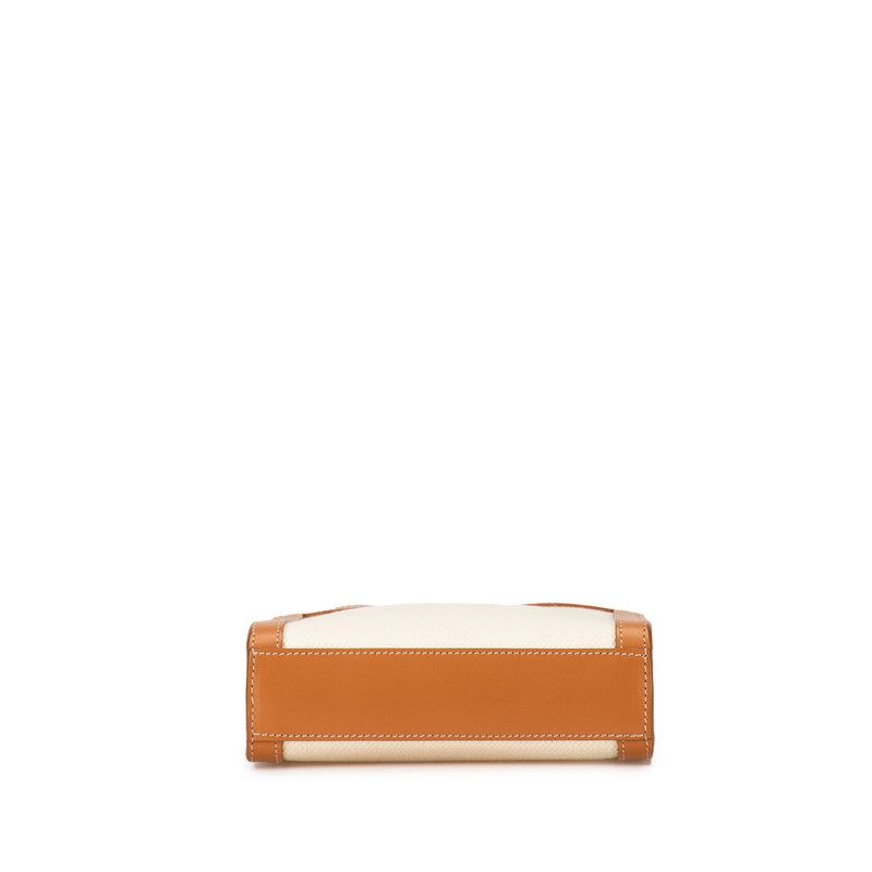 celine handbag rear view