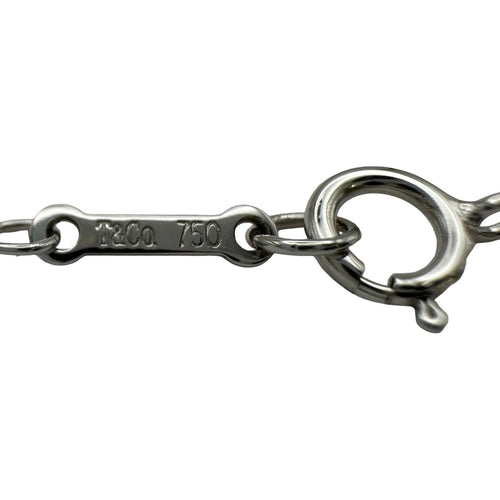 necklace accessories included