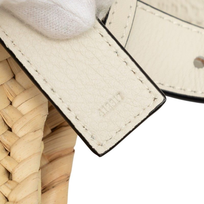 loewe handbag condition details