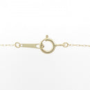 necklace accessories included