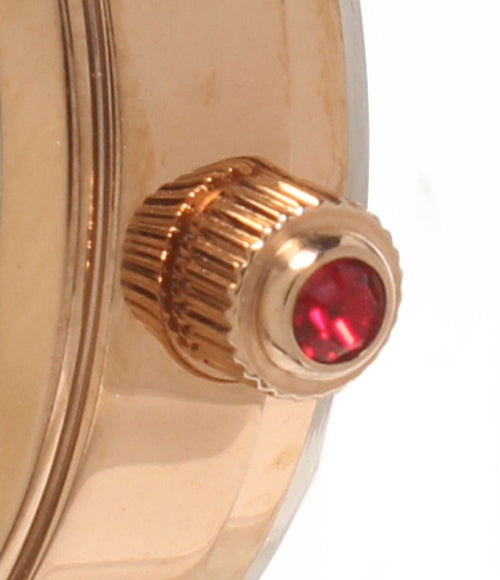 watch accessories included
