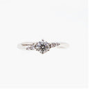 ring rear view