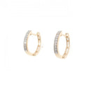 earrings front view