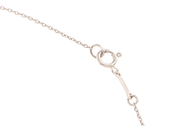 tiffany 2009nc/sv/4.2g necklace rear view