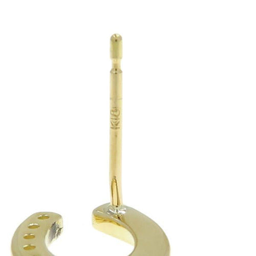 earrings condition details
