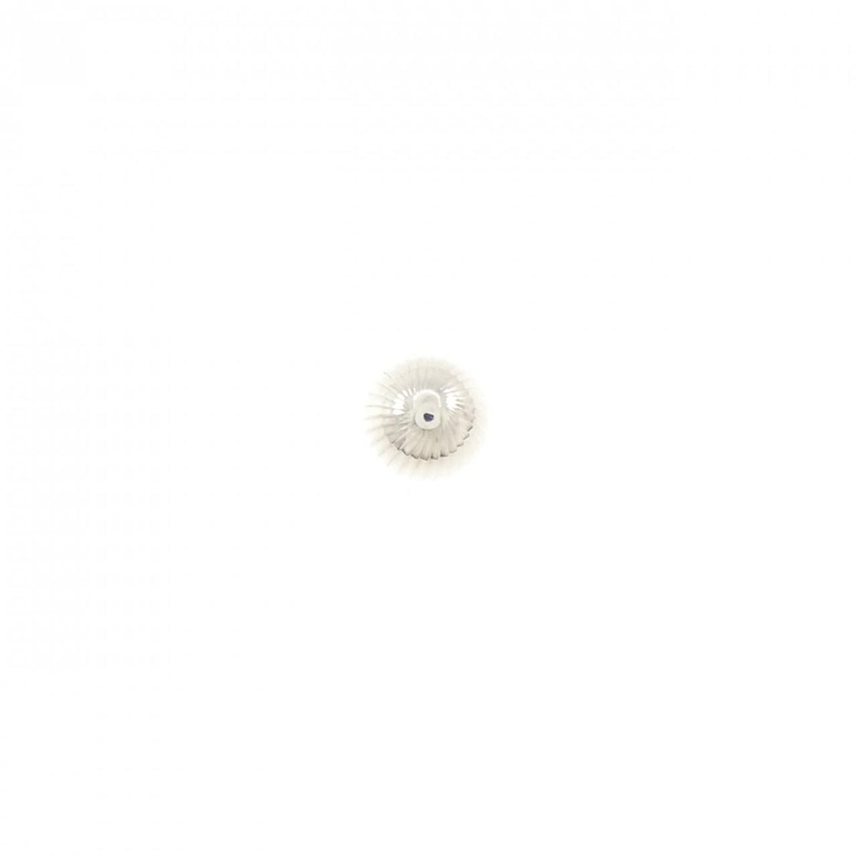 Gucci Earrings