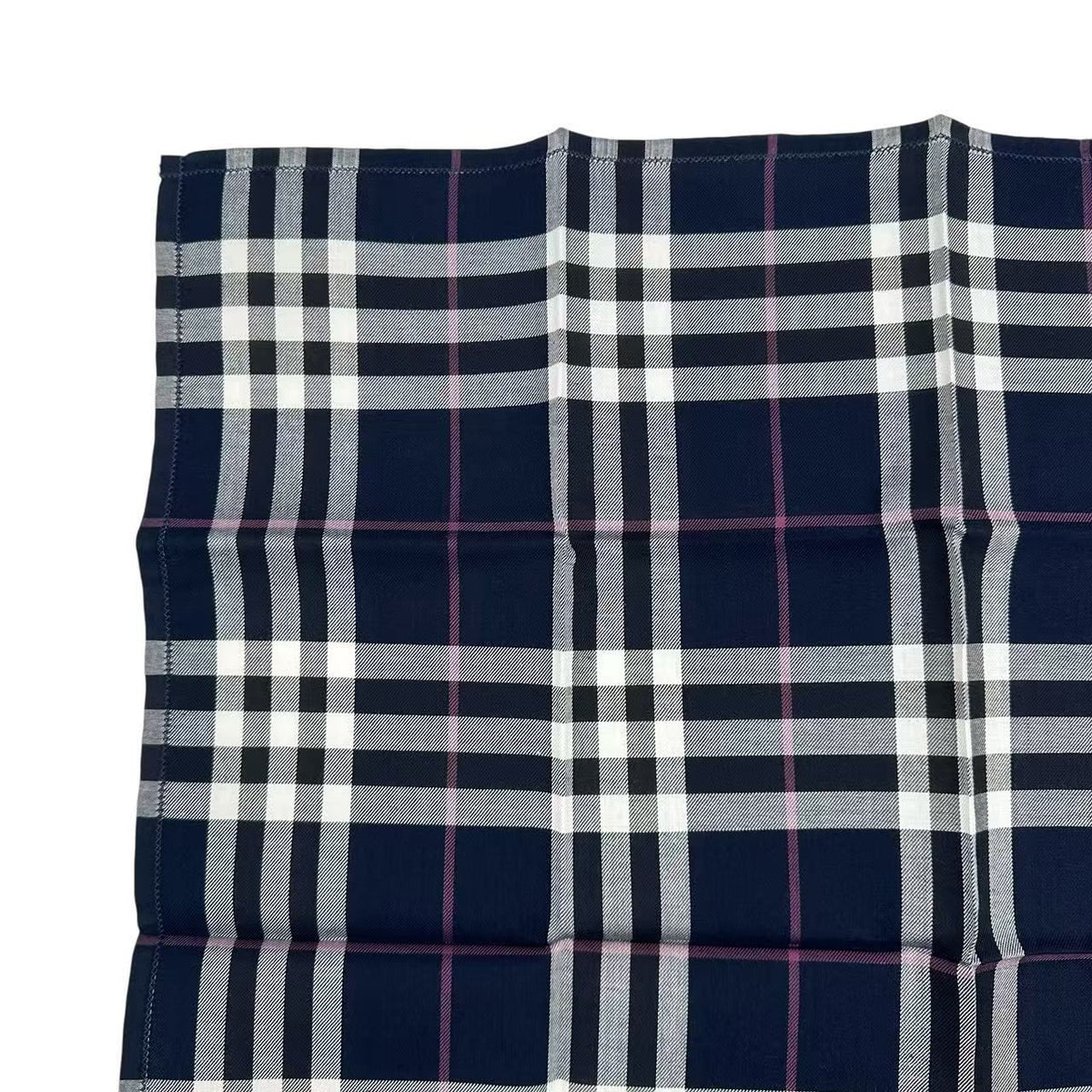 burberry navy scarf rear view