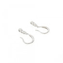 earrings rear view