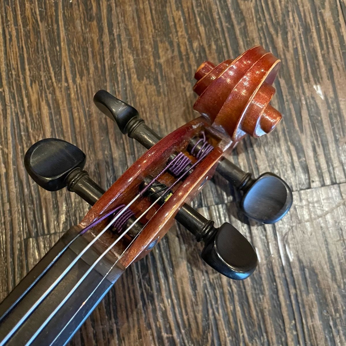 string instrument side view