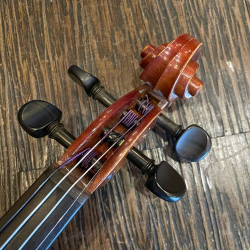 string instrument side view