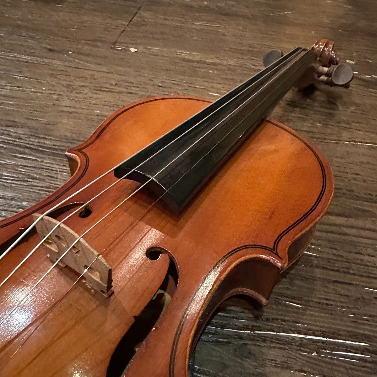 suzuki string instrument rear view