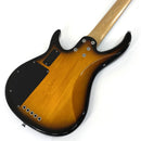 bass guitar rear view