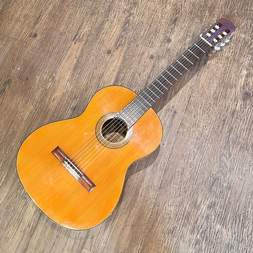 acoustic guitar