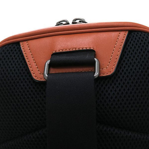 coach c2931 shoulder bag rear view