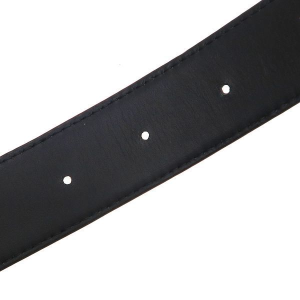belt interior details
